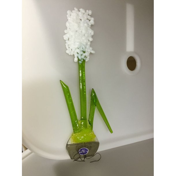 Hyacint til ophæng